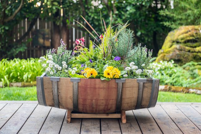 6 Ideas for Winery-Themed DIY Garden Planters