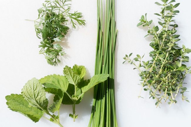 The Pleasures of a Backyard Herb Garden